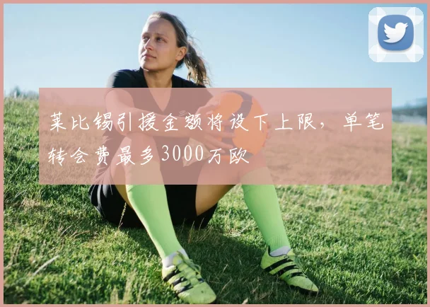 莱比锡引援金额将设下上限，单笔转会费最多3000万欧